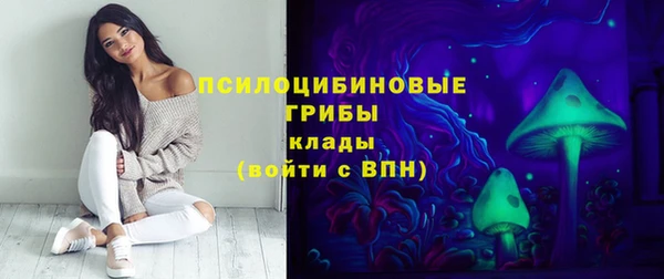 герыч Арсеньев
