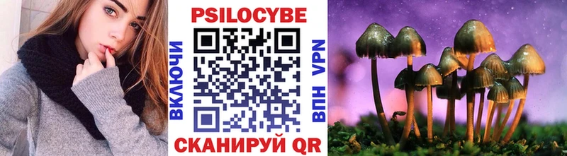 Псилоцибиновые грибы GOLDEN TEACHER Корсаков