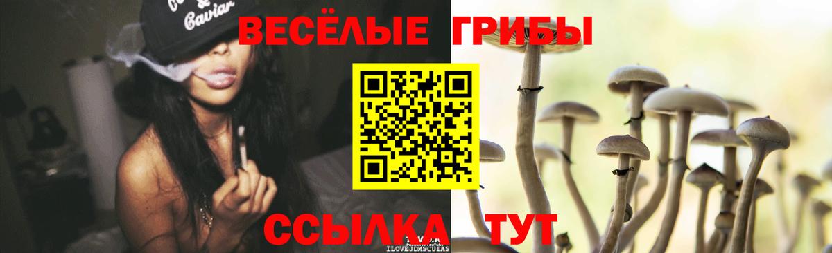 Корсаков  Псилоцибиновые грибы MAGIC MUSHROOMS  Вход с VPN 